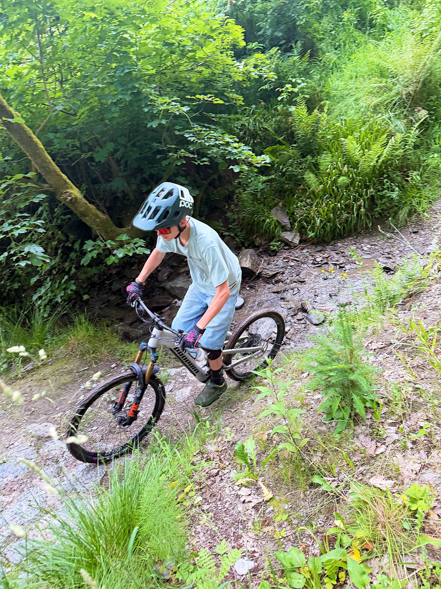 SteilKurvenFreunde – MTB-Tour Trailpark